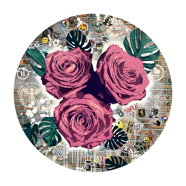 Brad Novak Exhibition 'Begin Again'