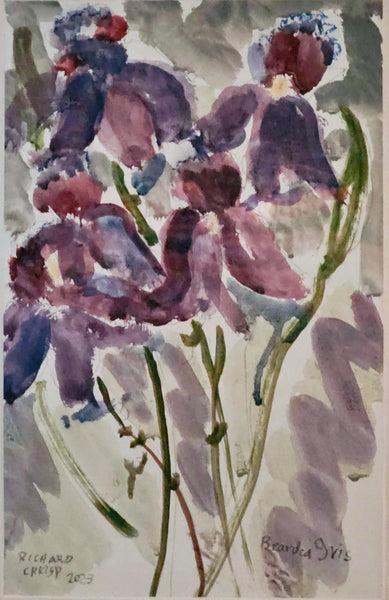 Study of Iris II by Richard Chrisp