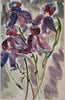 Study of Iris II by Richard Chrisp