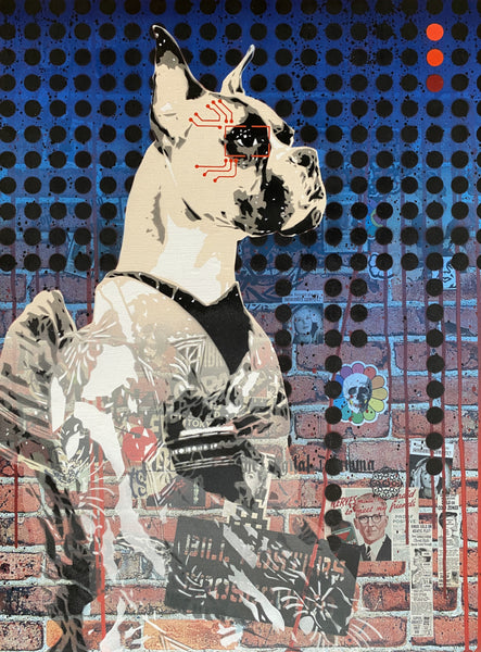 Hybrid Dog 1.6