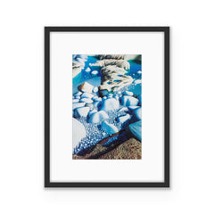 2 Rock Pools - Framed