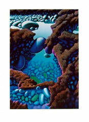 Three Rock Pools & Lava Flow - 2012