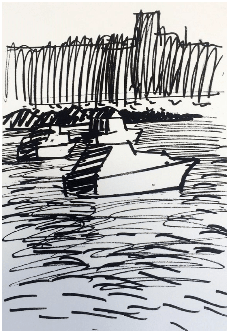 Boats Okahu Bay