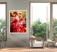 Chintz