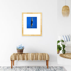 Diver - Framed