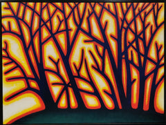 Forest Fires