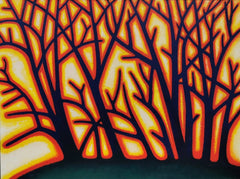 Forest Fires