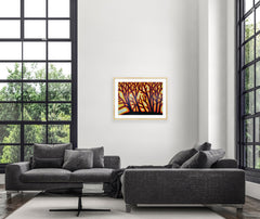Light Through the Trees - Framed