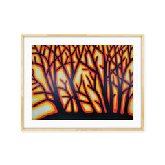 Light Through the Trees - Framed