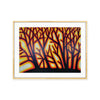 Light Through the Trees - Framed