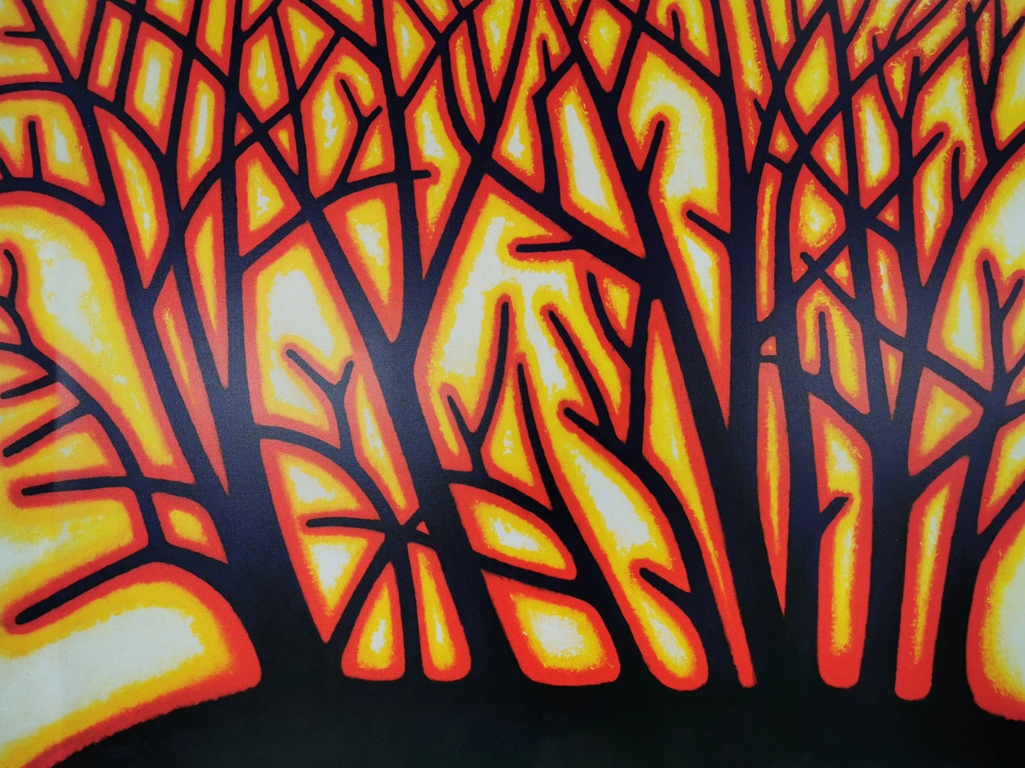 Light Through The Trees