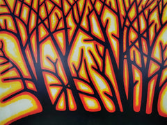 Light Through The Trees