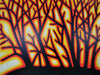 Light Through The Trees