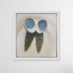 Otama Seashells