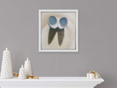 Otama Seashells