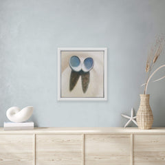 Otama Seashells