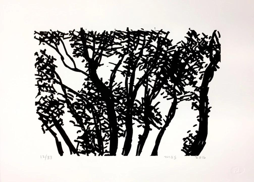 The Light Through the Trees III