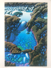 Three Rock Pools & Lava Flow - 2012